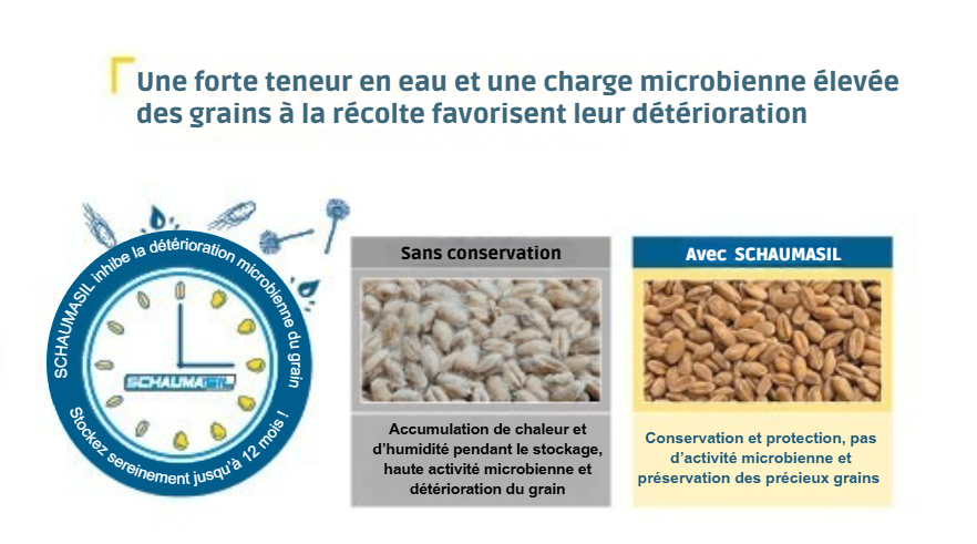 SCHAUMASIL stoppt den mikrobiellen Verderb