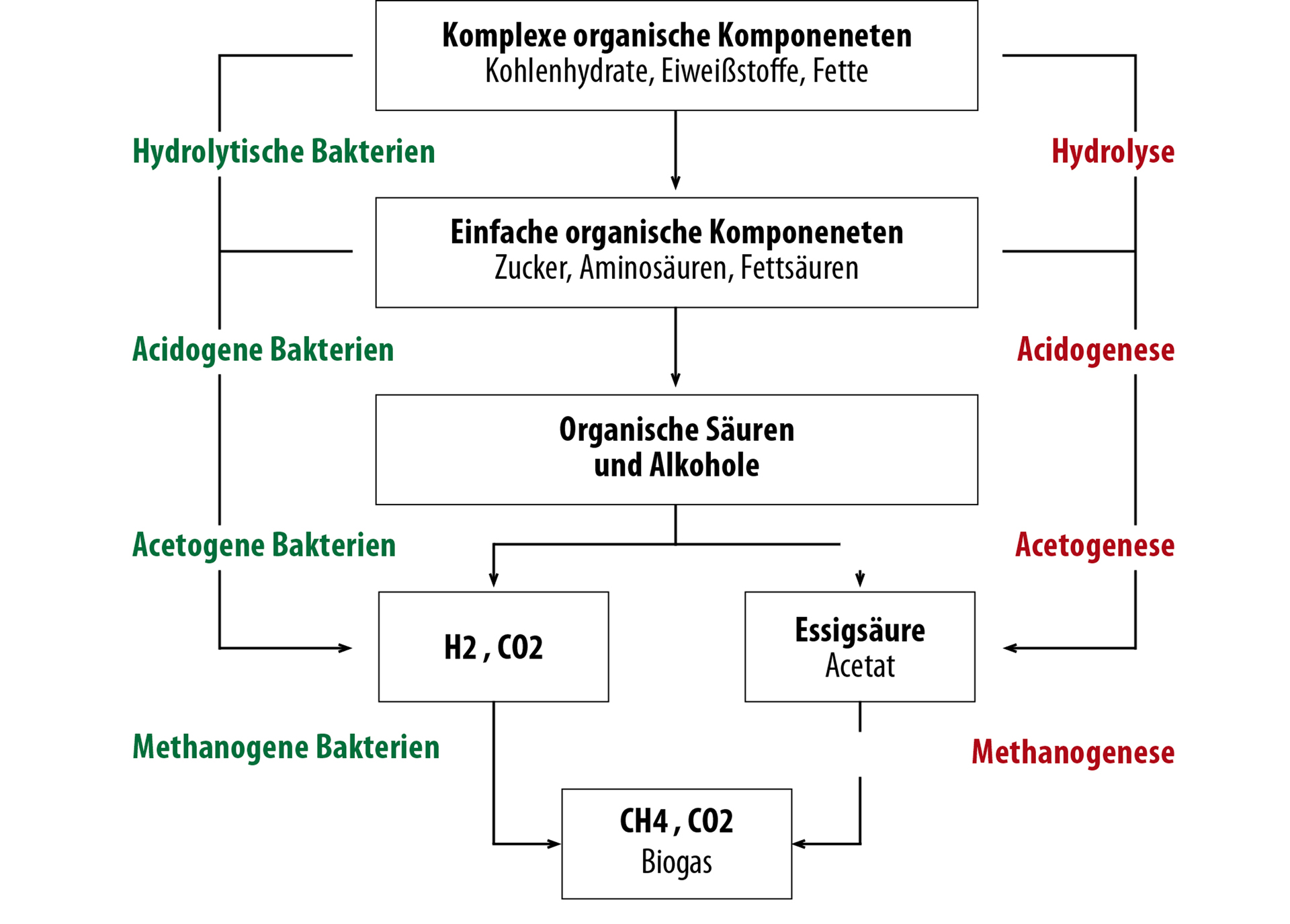Conversion du substrat de fermentation en biogaz