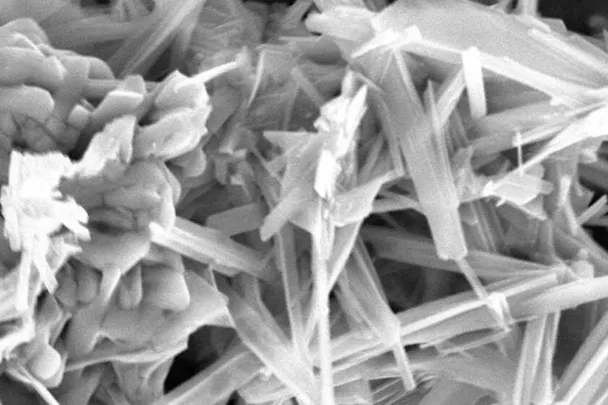 ACTILINC - Complexe de chélates d'oligo-éléments