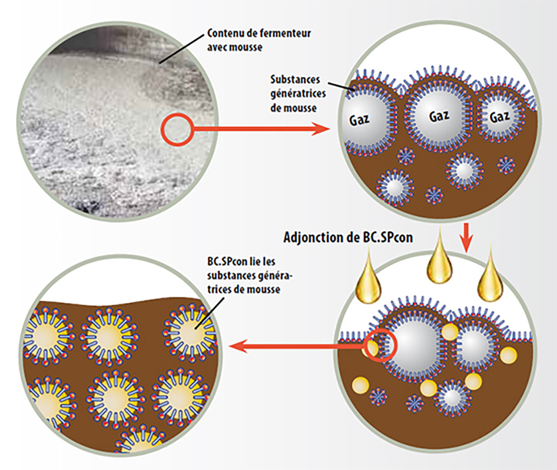bc_SPcon_fermenter_fr_1110px_937px