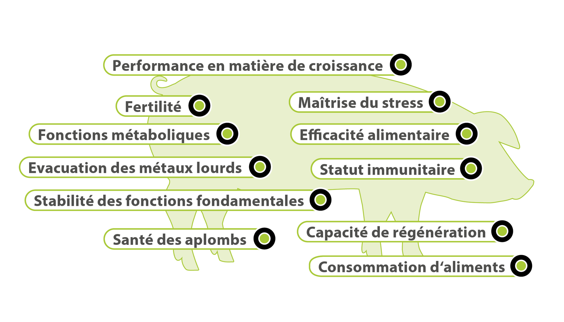 Domaines d'impact clés
