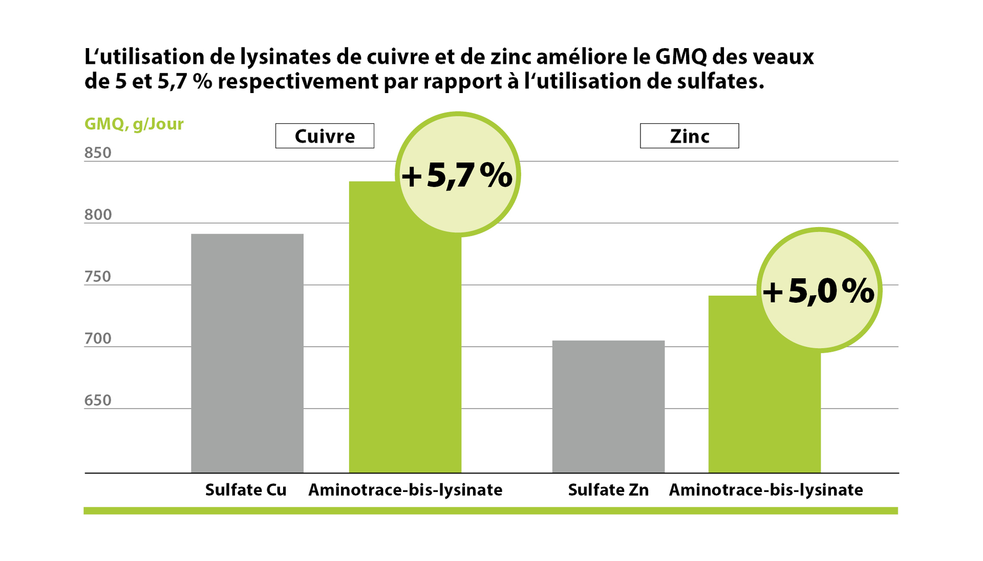 AMINOTRACE chez le bétail