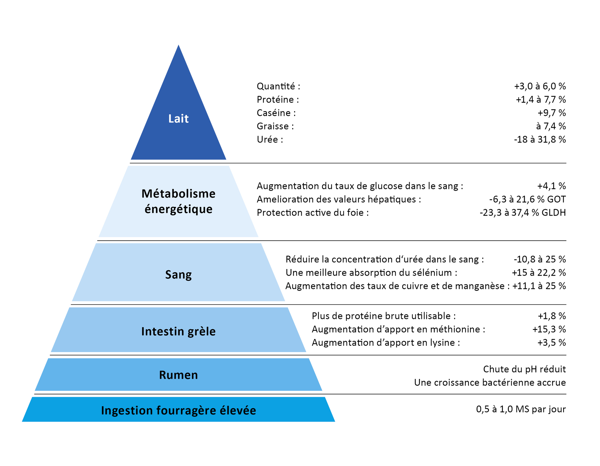 Pyramide des performances  BOVIN-S-KOMPLEX