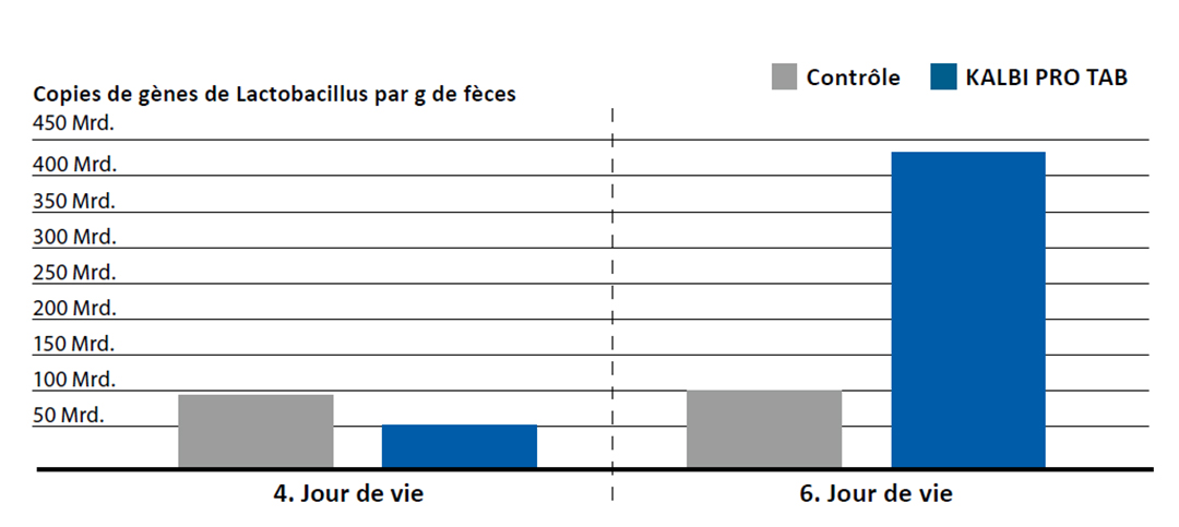 Les bactéries lactiques du KALBI PRO TAB colonisent l'intestin rapidement et durablement. Les bactéries lactiques du KALBI PRO TAB colonisent l'intestin rapidement et durablement.