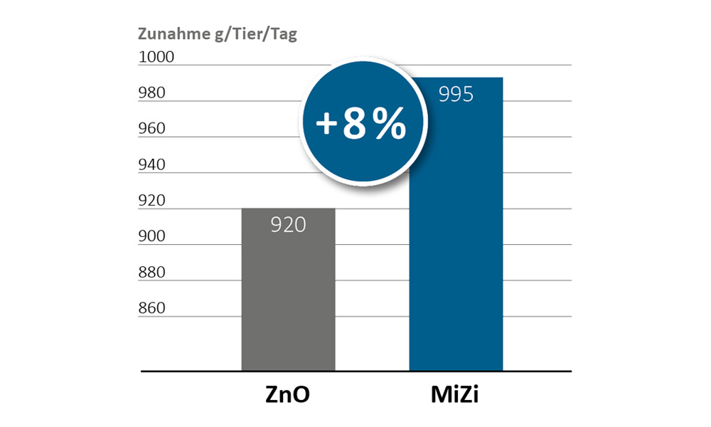 Höhere Tageszunahmen mit MiZi 