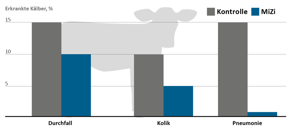 Weniger Erkranungen mit MiZi