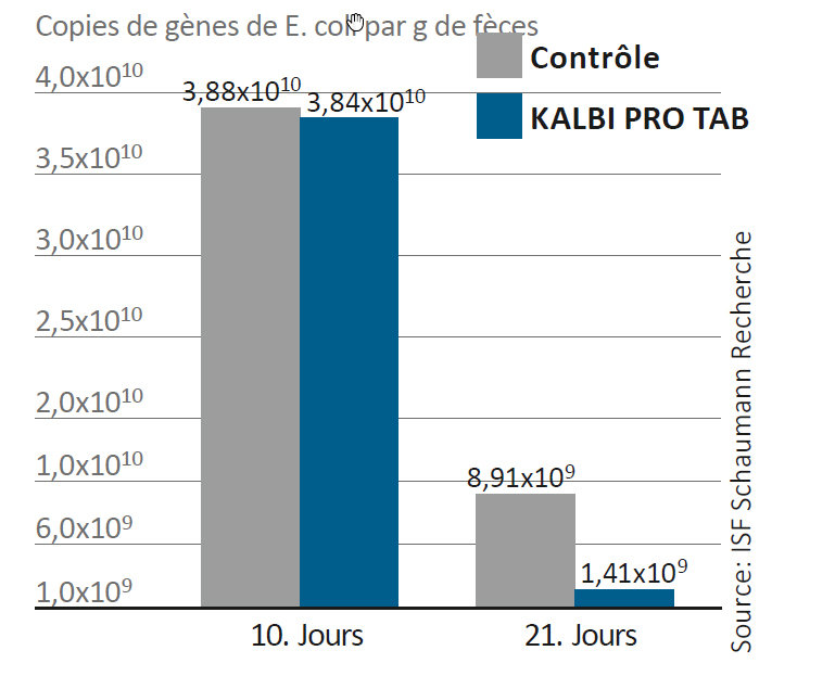 Les bactéries lactiques du KALBI PRO TAB réduisent le développement et la multiplication des agents pathogènes.